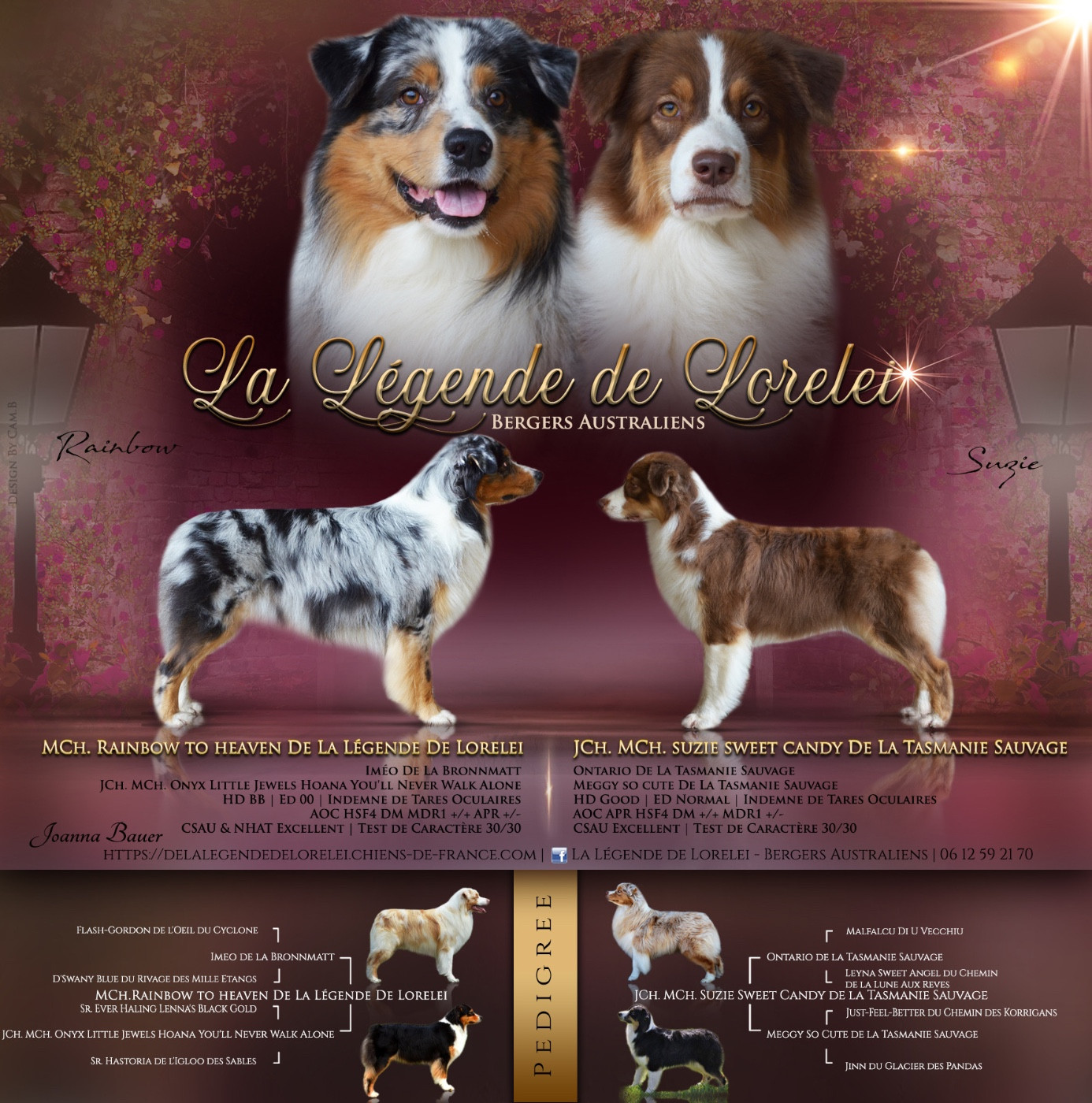 Des bébés sont attendus !!