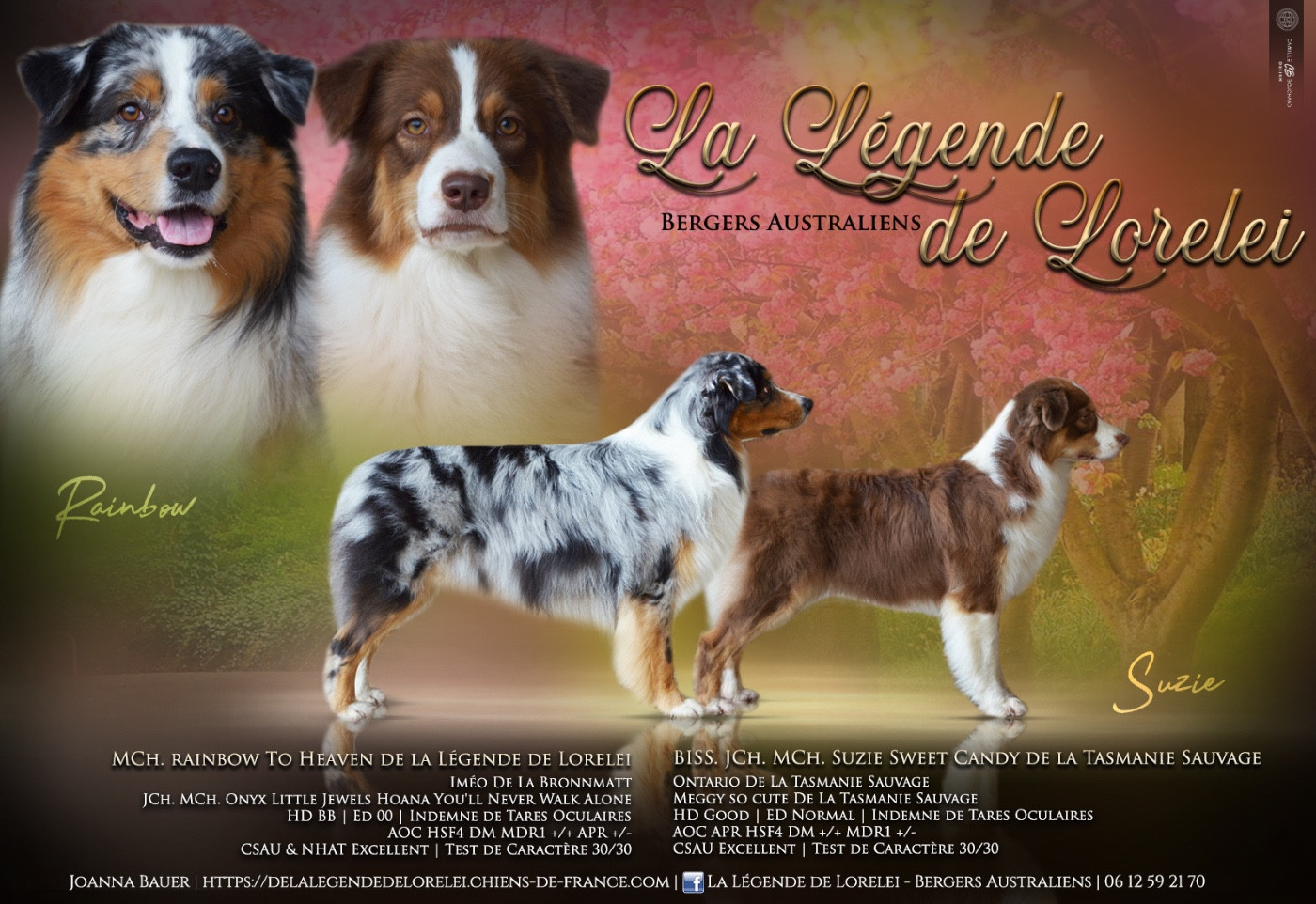 Des bébés sont attendus !!